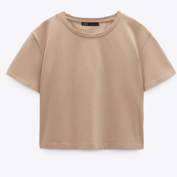 Zara Round Neck Short Sleeve T-Shirt with Stretch | Beige | Women’s Small - Picture 1 of 5